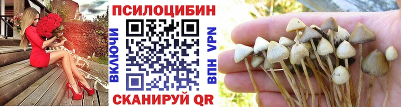 Галлюциногенные грибы прущие грибы  закладки  Цоци-Юрт 